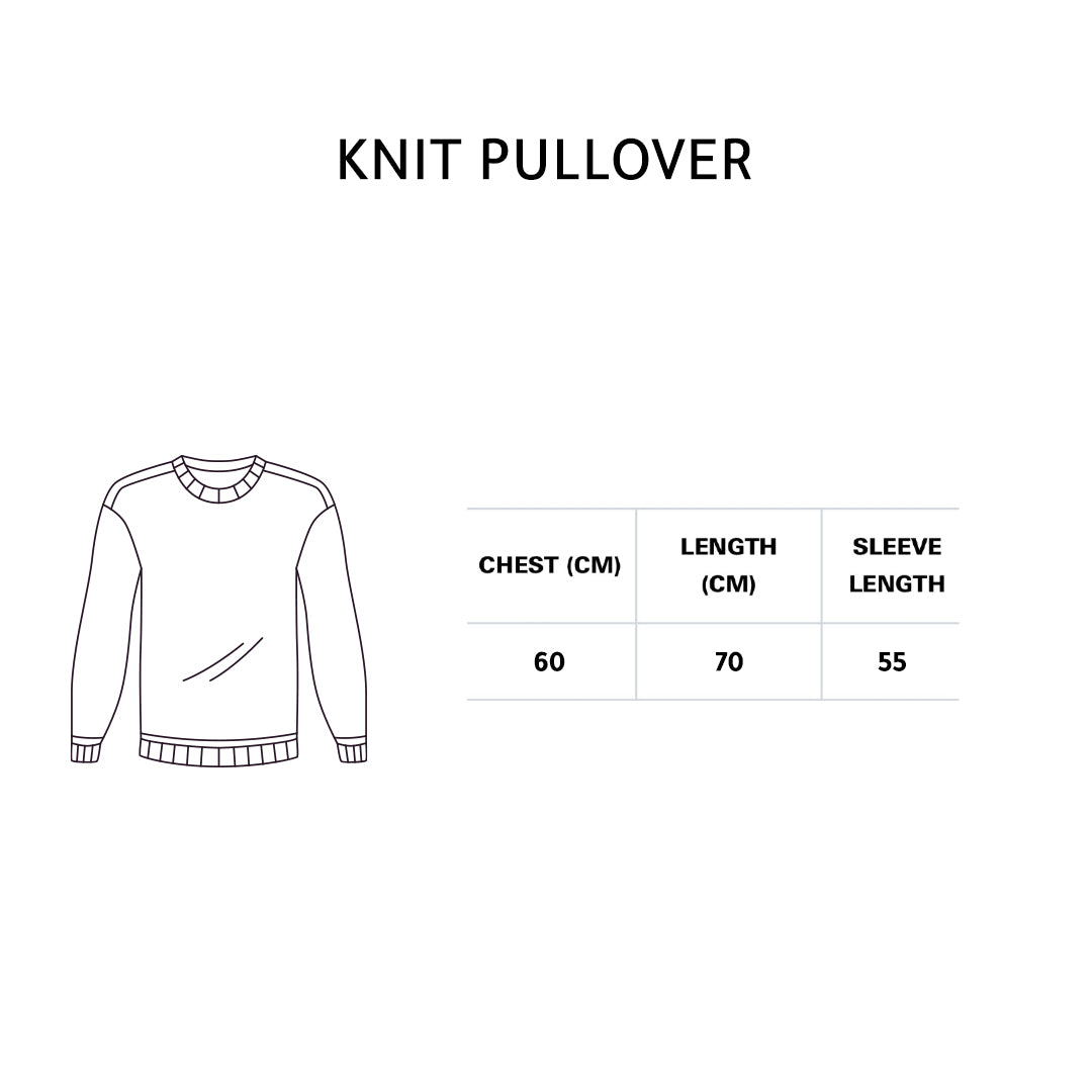Purple Knit pullover
