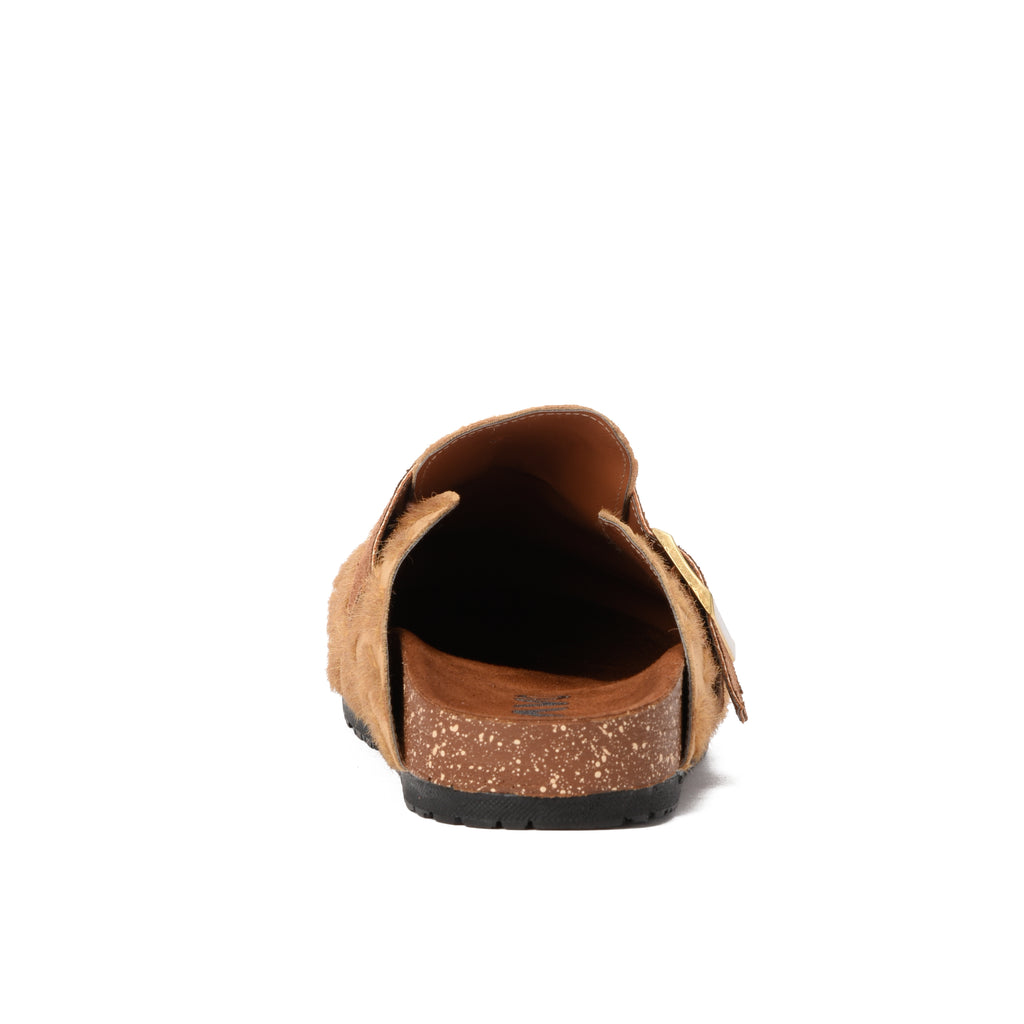 Havana Desert  mule