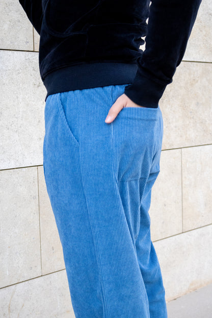 Blue velvet pants